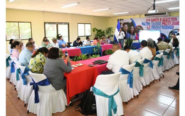 Nicaragua sostuvo reunión con la Comisión para la Protección de las Tortugas Marinas