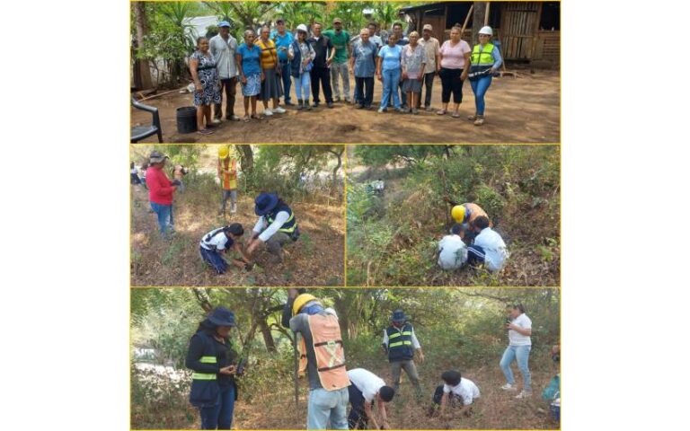 Enacal avanza en Reforestación en Sitios de Recarga de Fuentes de Agua y Plantas de Tratamiento