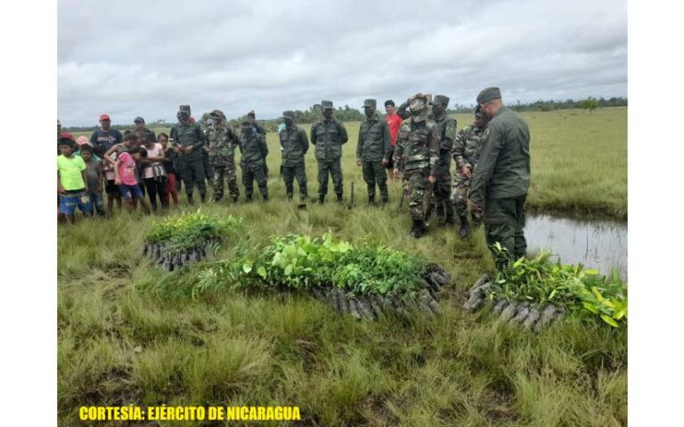 Destacamento Militar Norte participa en jornada de reforestación