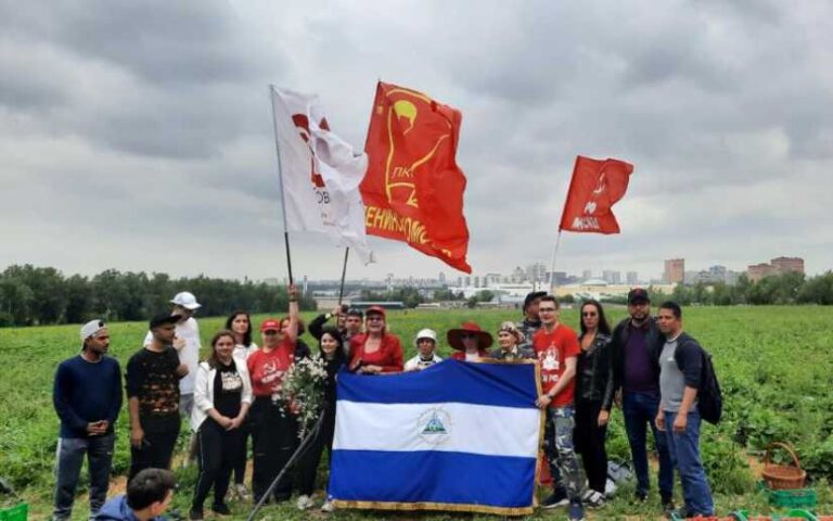 Estudiantes nicaragüenses participaron en la recolección anual de fresas