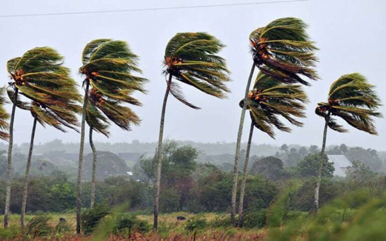 Realizan monitoreo de fenómeno metereológico en el mar Caribe