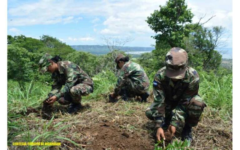 Brigada de Infantería Mecanizada participó jornada de reforestación en Apoyeque