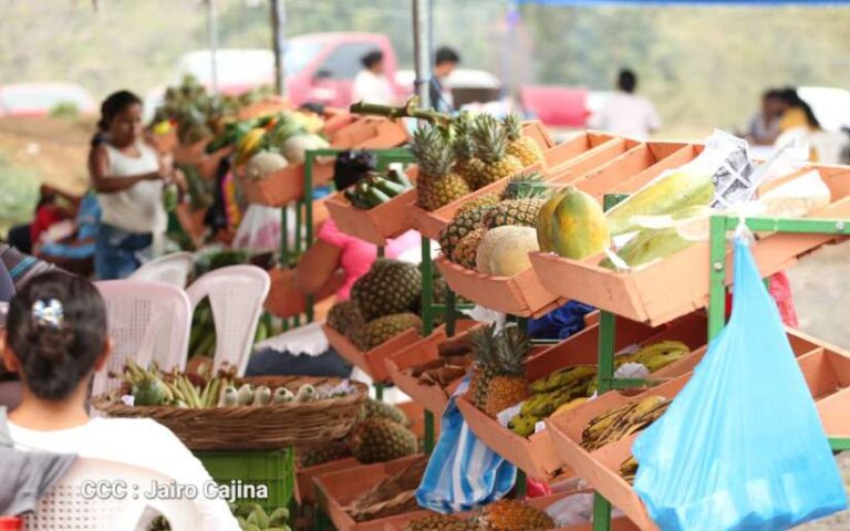 MEFCCA: 500 Ferias y Mercaditos Campesinos se realizarán en todo el país