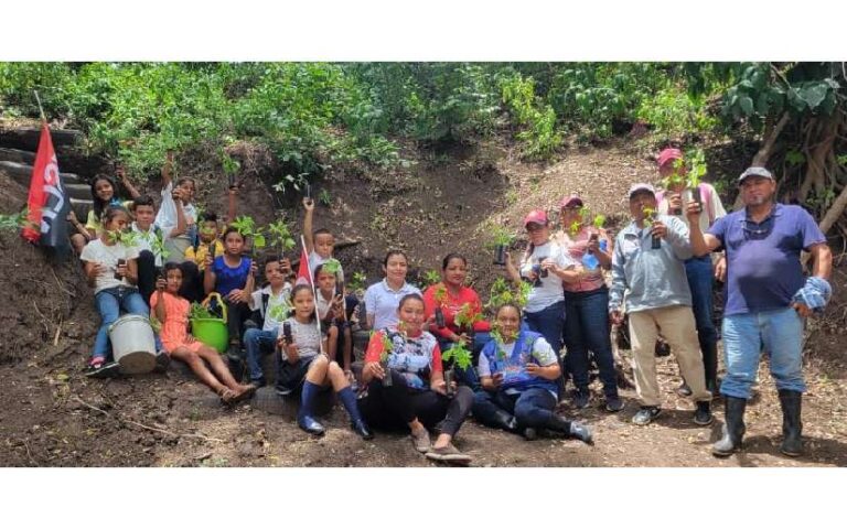 Conozca los avances de la Campaña de Reforestación “Verde que te Quiero Verde”
