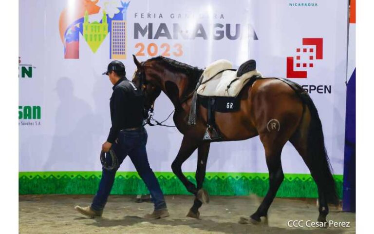 Vicepresidenta saluda a los organizadores de la Feria Ganadera 2023