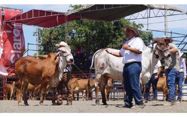(+ Fotos) Tercer día de I Feria Ganadera, Managua 2023