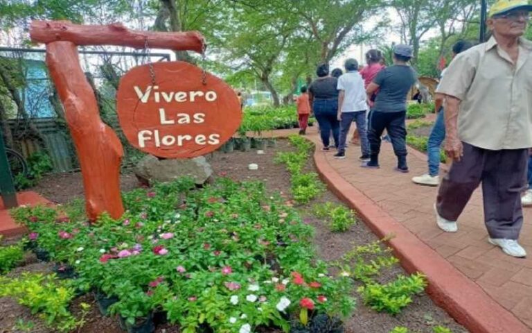 Continúan fortaleciendo viveros municipales en toda Nicaragua