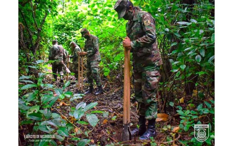 Ejército participó en jornada de limpieza y reforestación en El Chocoyero