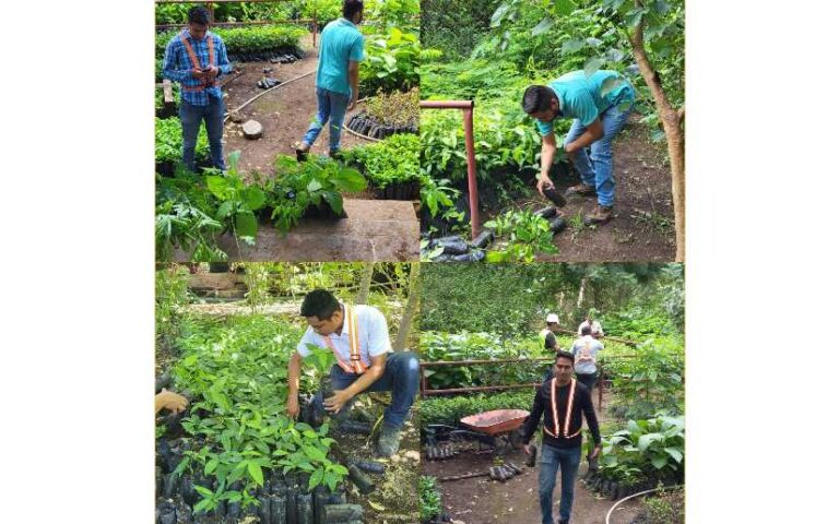 Enacal avanza con la Reforestación en Sitios de Recarga de Fuentes de Agua en Nicaragua