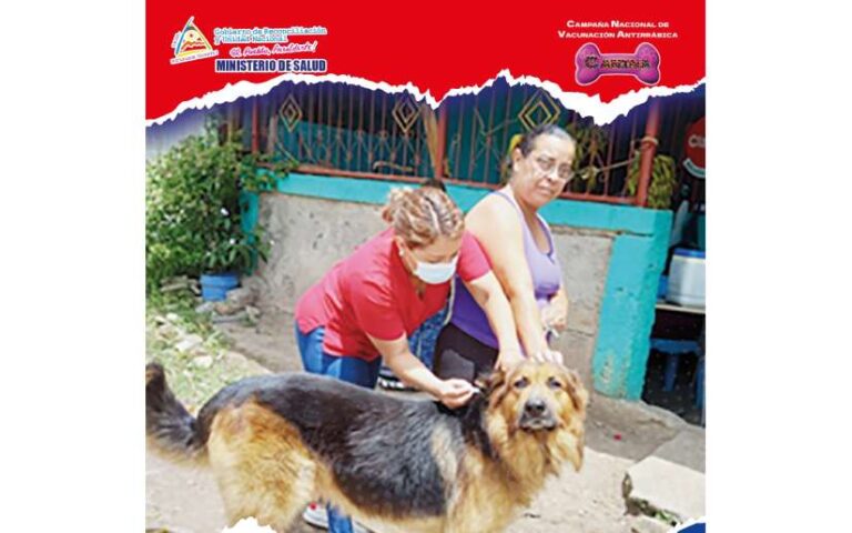 Nicaragua avanza en la Campaña Nacional de Vacunación Antirrábica Canina