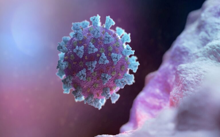 Esta es la Situación del Coronavirus al 29 de Agosto 2023