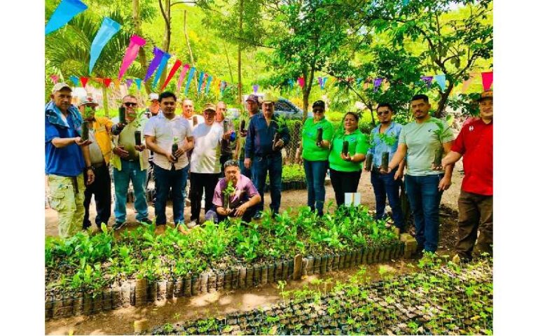 Alcaldías avanzan en instalación y ampliación de los Viveros Municipales