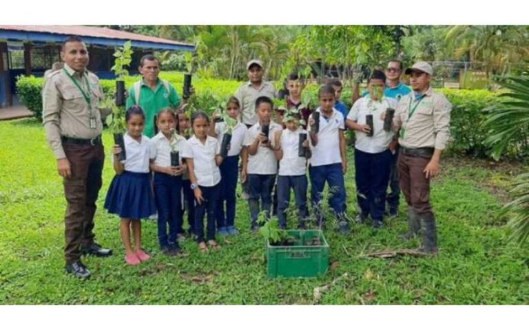 Así avanza la campaña de reforestación Verde que te Quiero Verde