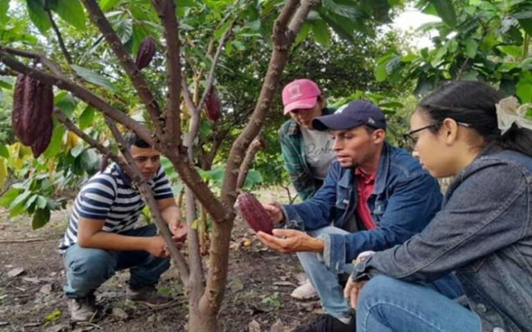 Estos son los avances del Programa Vocación Productiva para el Trabajo y la Vida