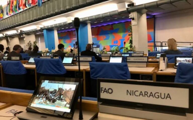 Nicaragua en la Primera Conferencia Mundial sobre la Transformación Sostenible de la Ganadería