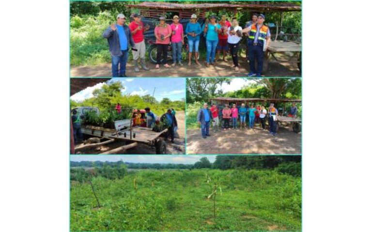 Enacal avanza en la reforestación para mejorar fuentes de agua en los municipios