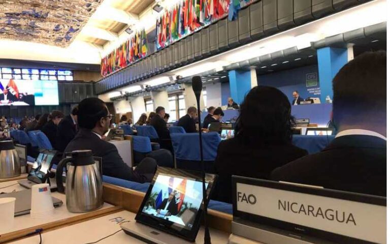 Nicaragua participa en sesiones del Comité de Seguridad Alimentaria Mundial de la FAO