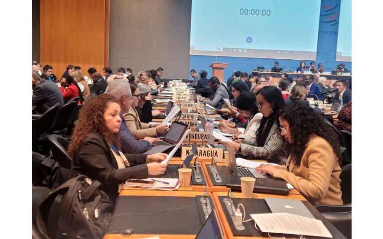 Nicaragua en Reunión de Altos Funcionarios de la Organización Mundial del Comercio