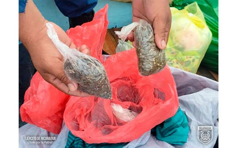 Fuerza Naval retiene a ciudadano por posesión ilegal de marihuana