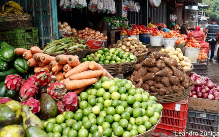 Productos nicaragüenses con potencial para seguir fortaleciendo las exportaciones