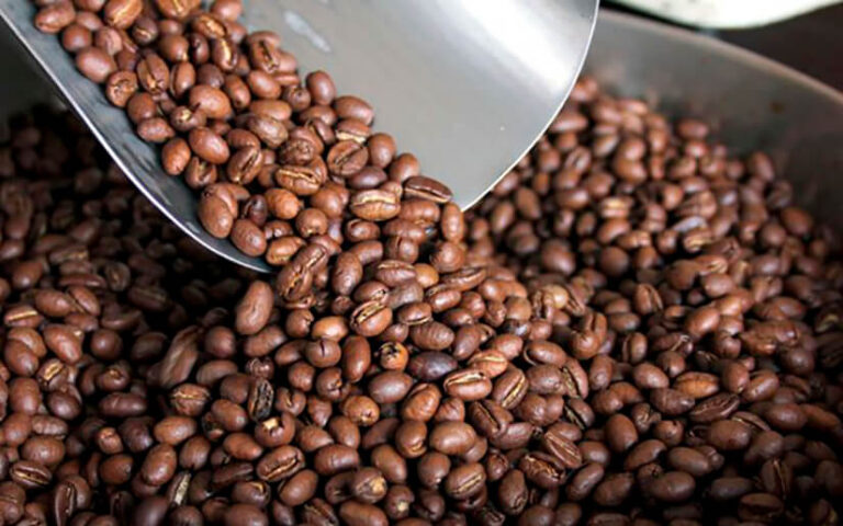 Estudio confirma incremento en la producción y productividad del café nicaragüense