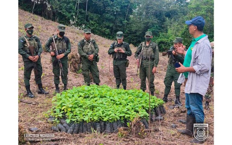Ejército de Nicaragua participó en Jornada de Reforestación en el Río San Juan