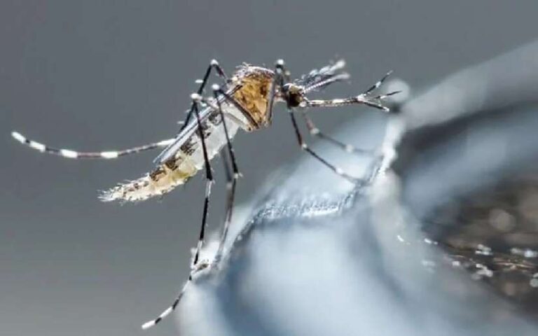 Menos casos de dengue y neumonía se reportan en la última semana en Nicaragua