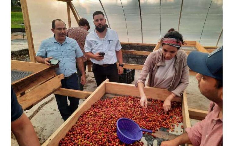 Caficultura: Realizan Curso Internacional Q Processing. 2 en Jinotega