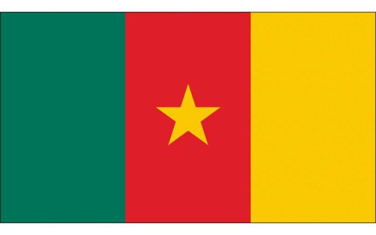 Mensaje al Presidente y al Primer Ministro de Camerún en el 64º Aniversario de su Independencia