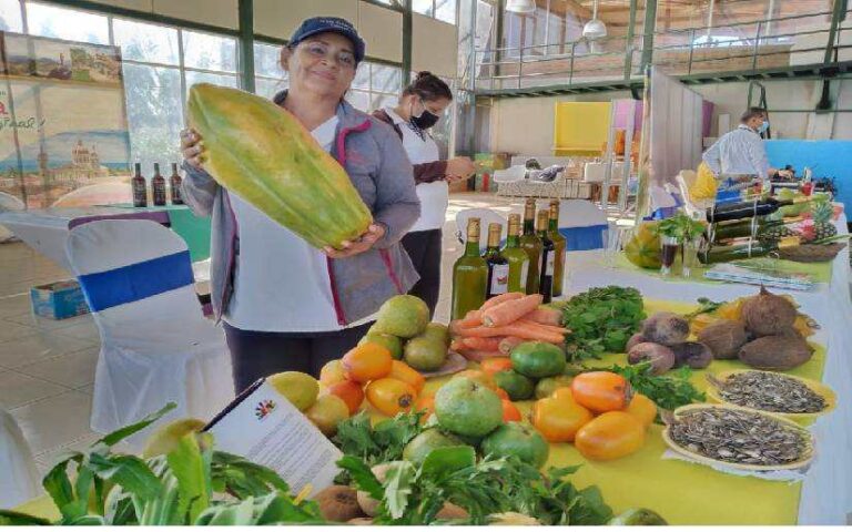 Avances del Pueblo-Presidente en material de Economía Familiar Comunitaria, Cooperativa y Asociativa