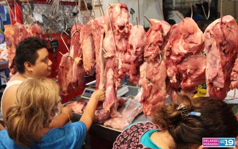 Crece producción nacional de carne bovina y acopio de leche en Nicaragua