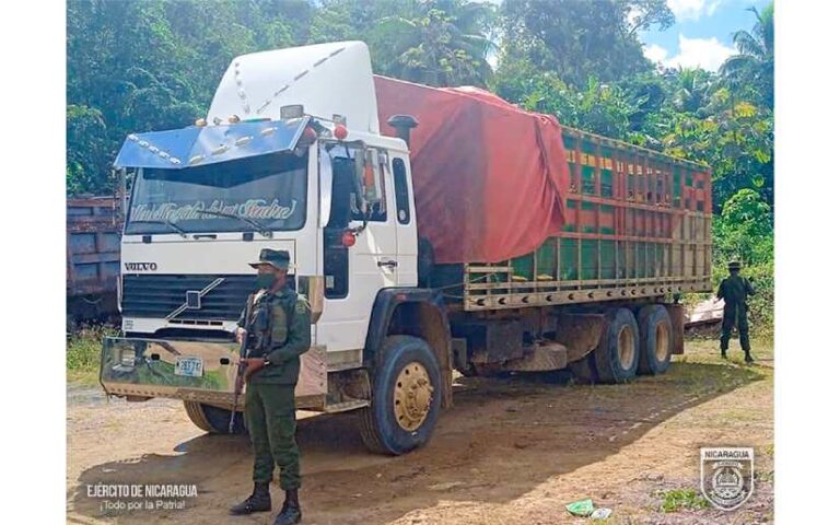 Batallón Ecológico Bosawás realizó ocupación de madera en el Caribe Norte