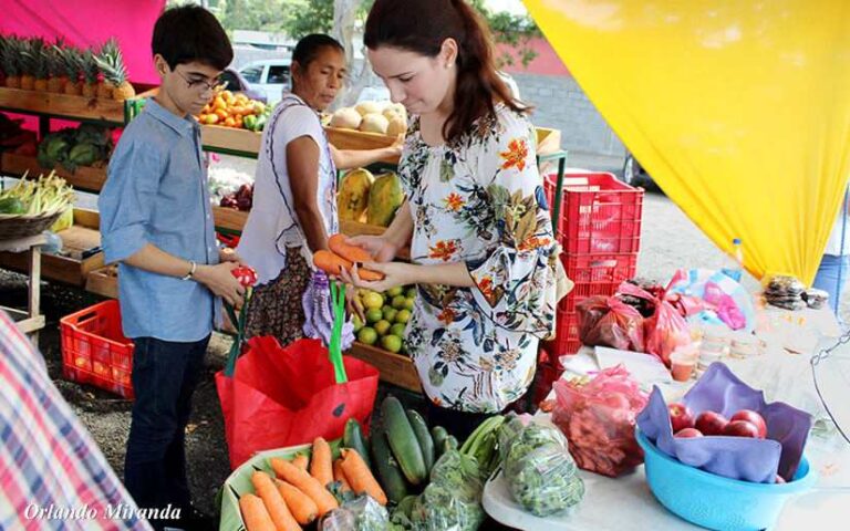 Más de 500 Ferias de la Economía Familiar y Mercaditos Campesinos este fin de semana
