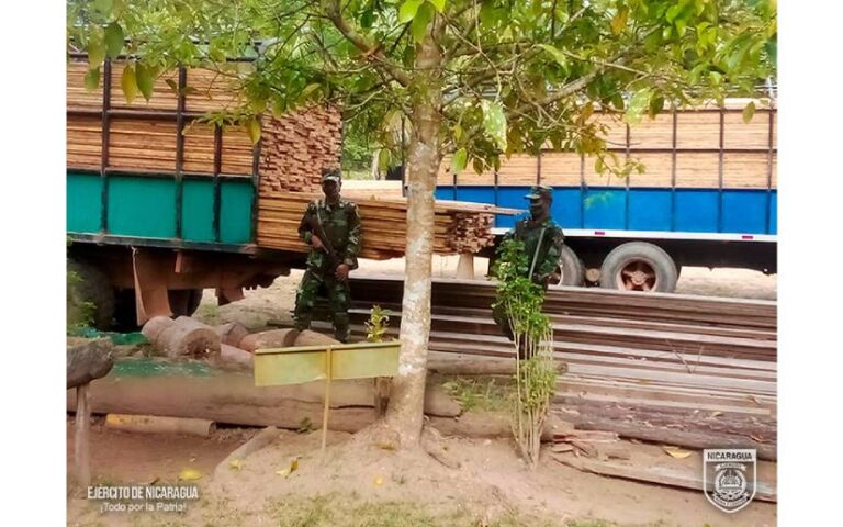 Ejército de Nicaragua realiza ocupación de madera trasladada de manera ilegal