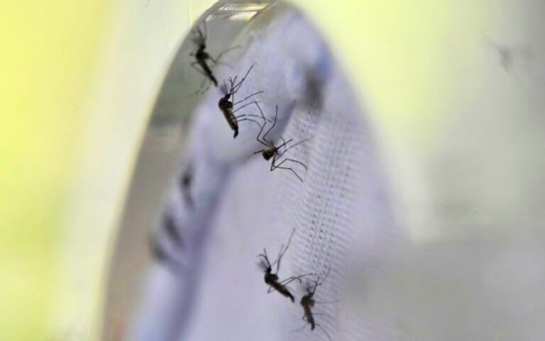 Registran menos contagios de Influenza, Leptospirosis, Dengue, Malaria y Neumonía en Nicaragua