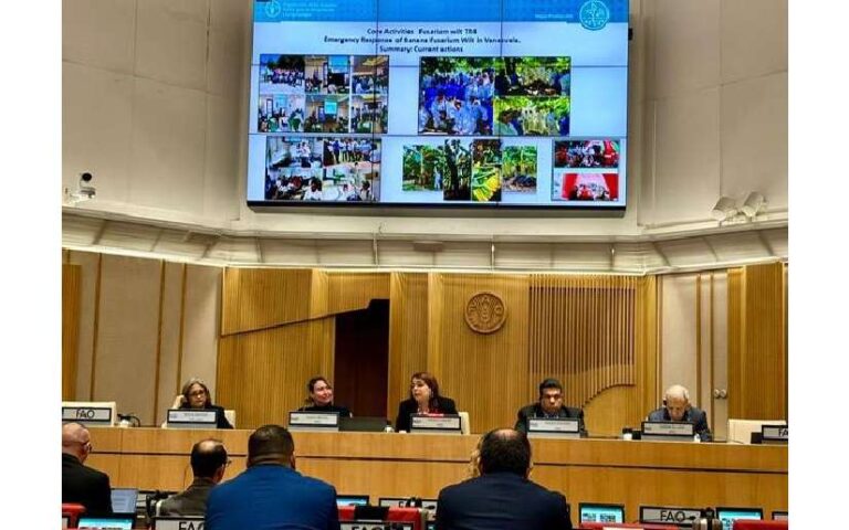 Delegación nicaragüense asiste al cuarto Foro Mundial Bananero organizado por la FAO