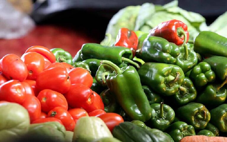 Registran buena salida de cosecha de Producción Nacional de Hortalizas en Nicaragua