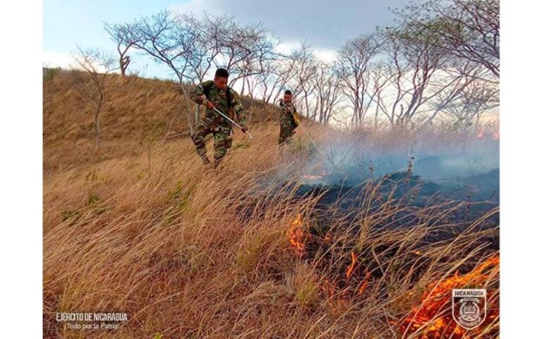 Ejército en sofocación de diversos incendios forestales y agropecuarios