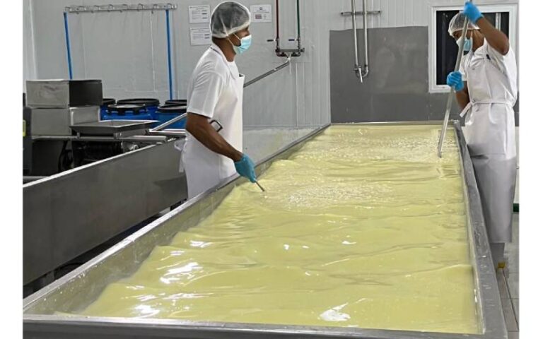 Nicaragua registra crecimiento en producción de leche del 6.2% de Enero a Febrero 2024