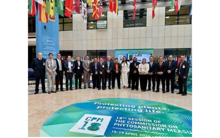 FAO: Nicaragua, ejemplo mundial en prevención enfermedades fitosanitarias