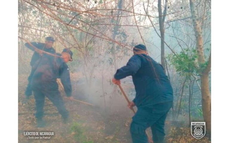 Distrito Naval Pacífico participa en sofocación de incendio forestal en la comunidad de Cabo de Horno