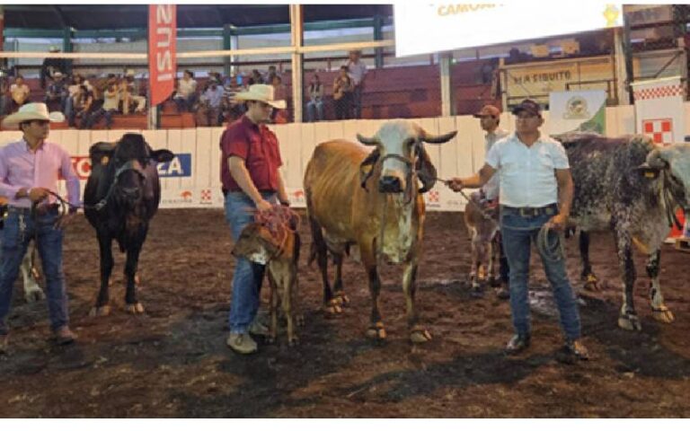 Celebran el Certamen Nacional de la Vaca Lechera 2024 en Camoapa