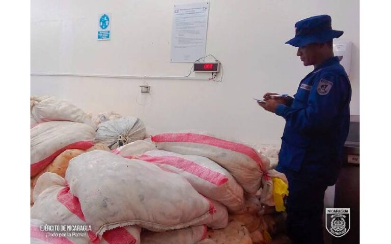Ejército hizo la ocupación de productos marinos en las embarcaciones de pesca industrial