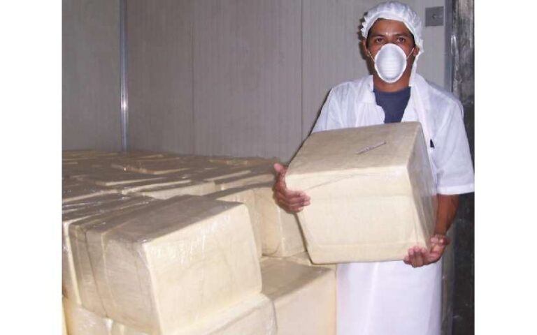 Crece producción nacional de queso en Nicaragua durante el 2024