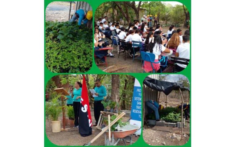 Verde, Que Te Quiero Verde: Ciudad Darío inicia Jornada Anual de Reforestación
