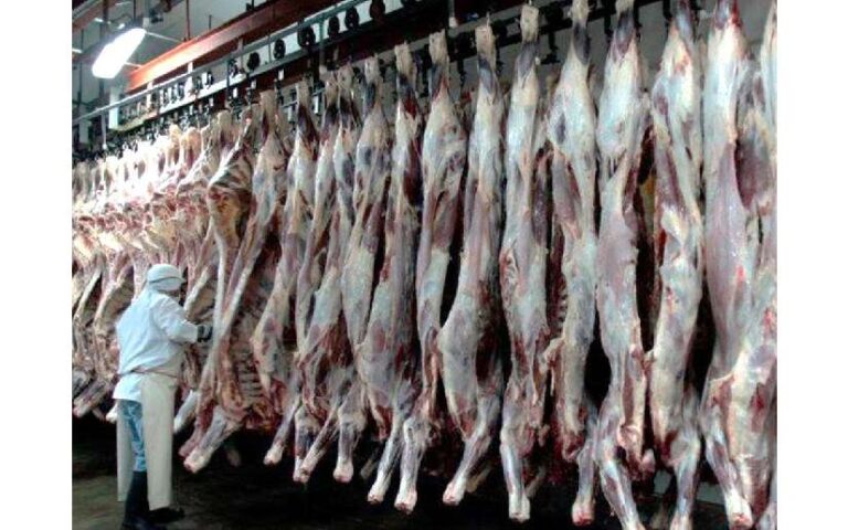 Nicaragua incrementa producción de carne de res en el período de marzo-abril 2024
