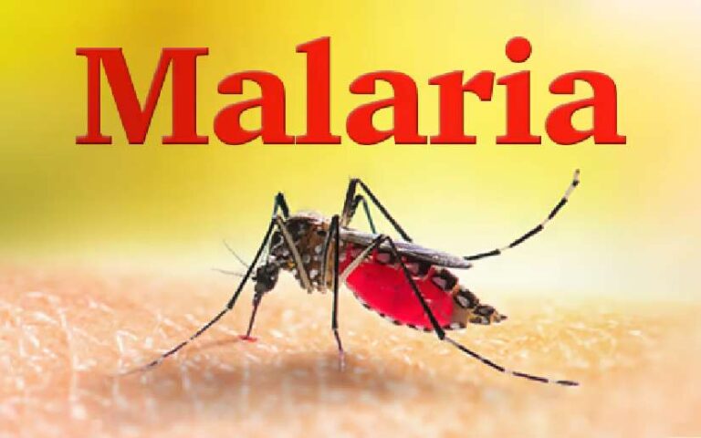 Ministerio de Salud reporta menos contagios de malaria al 9 de junio del 2024