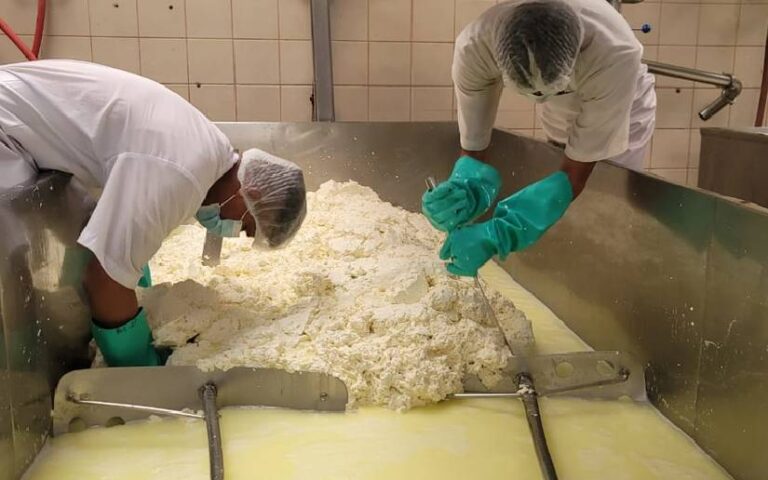 Crece producción nacional de leche en el periodo de enero-abril de 2024