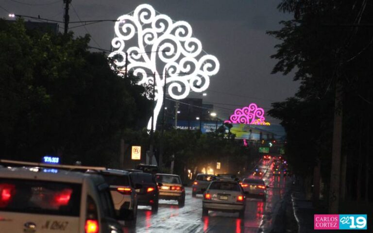 “Mañana 16 vamos a estar enciendo 50 Árboles de la Vida” destaca Rosario