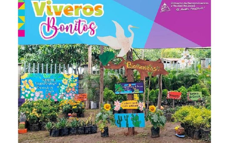 Verde que te Quiero Verde: Alcaldías relanzan y amplían los Viveros Municipales